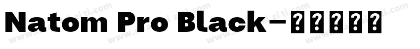 Natom Pro Black字体转换